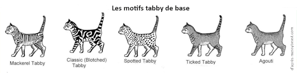 Les motifs tabby de base