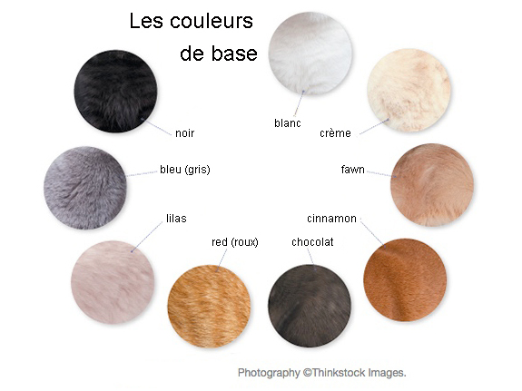 couleurs de base