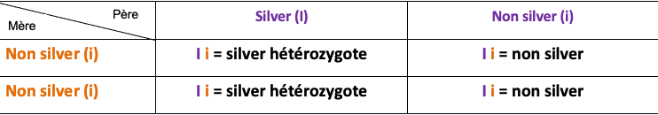 croisement silver et non silver