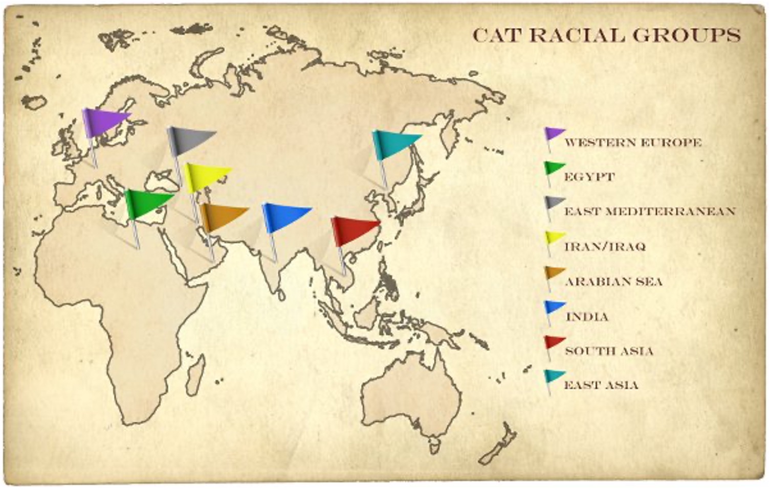 Origine géographique des races de chats