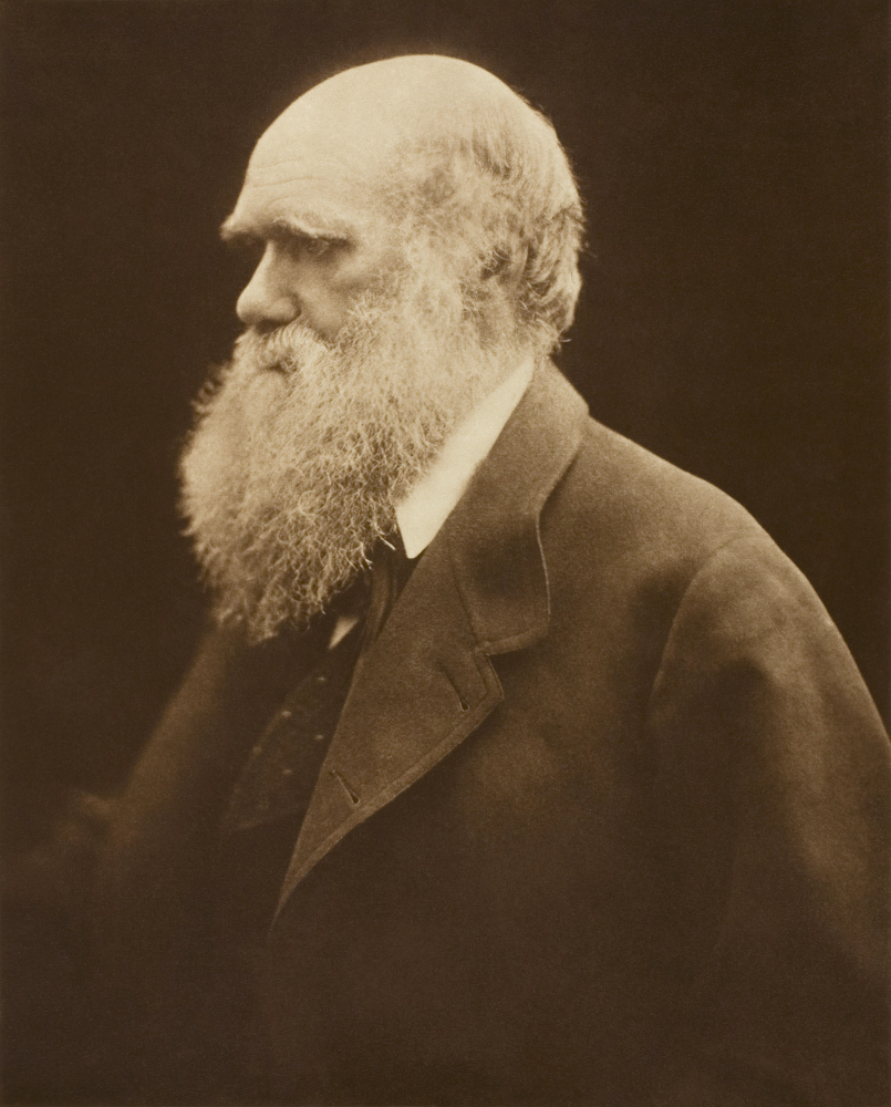Darwin en 1868