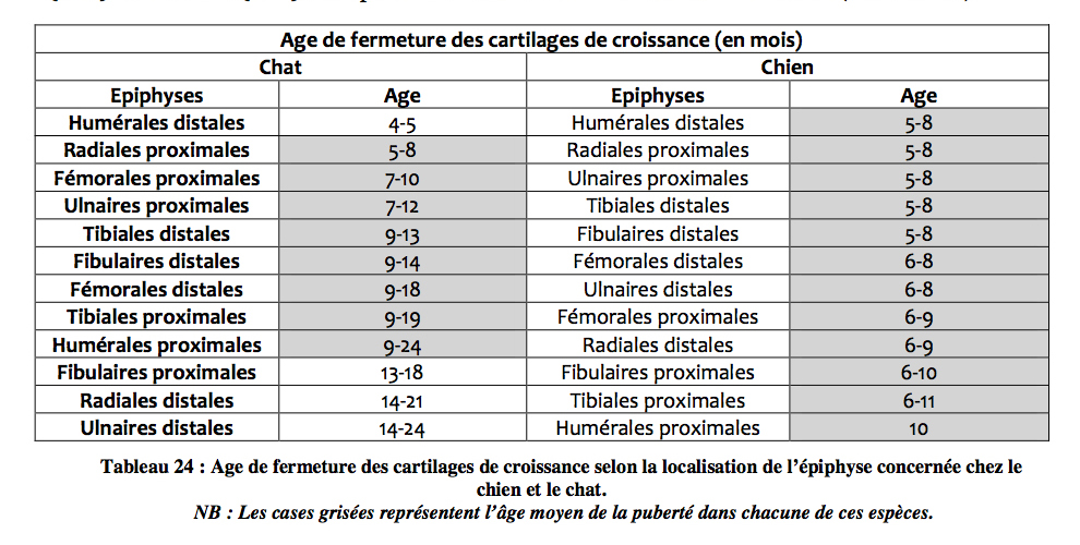 Fermeture des cartilages de croissance